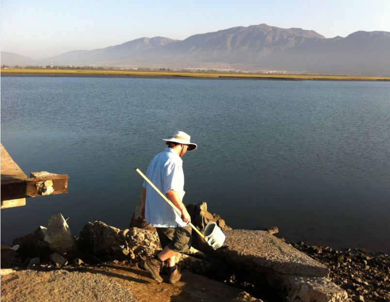 water sampling: Punta Banda estuary Pier